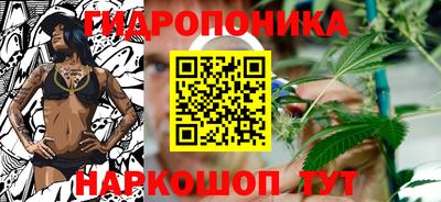 индика Первоуральск