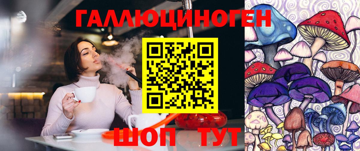 закладка  Вход с VPN  Сальск  Галлюциногенные грибы Cubensis 
